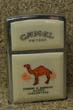 Z--Camel English