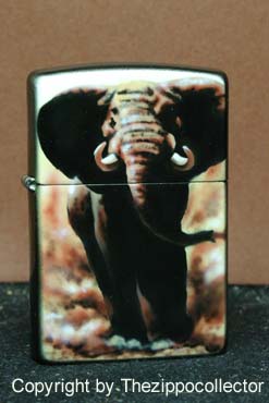 African Big Five d