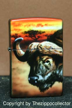 African Big Five e
