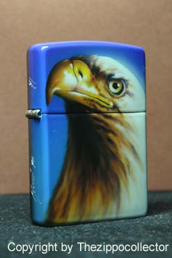 Aquila