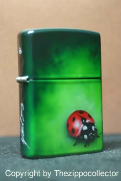 Cocinella b