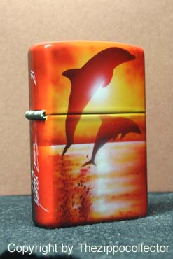 Dolphin golden sunset