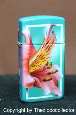 Flower Serie Shimsy