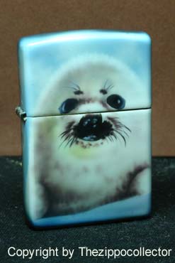 Foca a