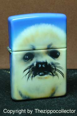 Foca b