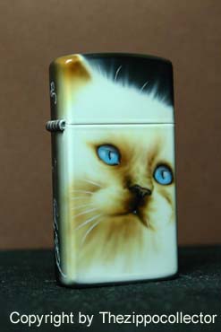 Gatto Slim