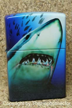 Shark Attack