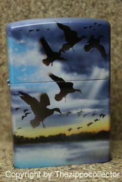 Wild Ducks